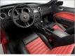 2007 SVT Shelby Cobra GT500 - interior