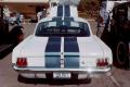 VMF moneymanger - '65 Shelby Clone