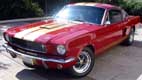 surfmnky - '66 GT350 Clone