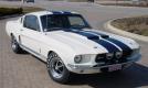 '67 Shelby GT500